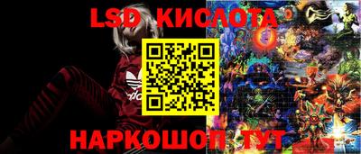 PSILOCYBIN Балаково