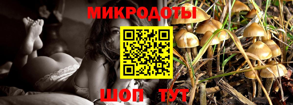 Галлюциногенные грибы Cubensis Бердск